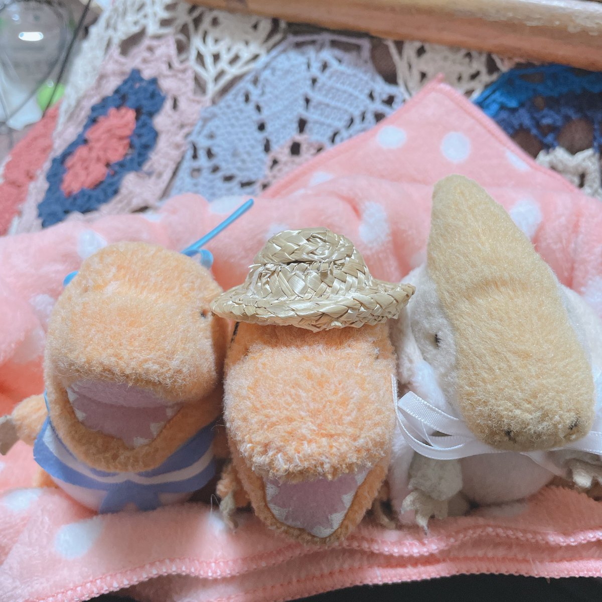 🦖黒川清孝🦖 tweet media