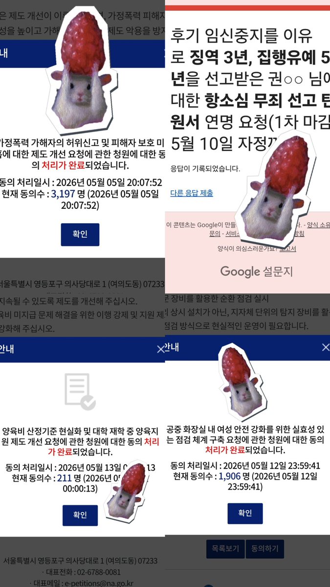 쏠랑🌱 tweet media
