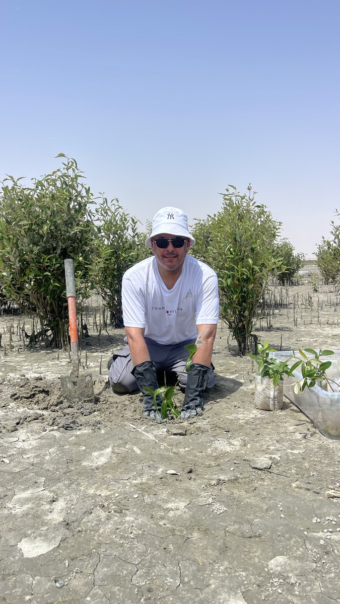 maldhawwi's tweet photo. ضمن مبادرتي الثانية في (إعادة تأهيل أشجار القرم)، قطفنا بالأمس بذور القرم بأيدينا، واليوم نغرسها في محمية الجهراء الطبيعية، ليصل العدد إلى ٨٠٠٠ شجرة قرم، بالتعاون مع الهيئة العامة للبيئة وجهات أخرى، وبجهود فريقنا الأبطال.@n_nkwt 

#إعادة_تأهيل_أشجار_القرم 
#الاستدامة 
#الكويت https://t.co/E18RnhxUzT