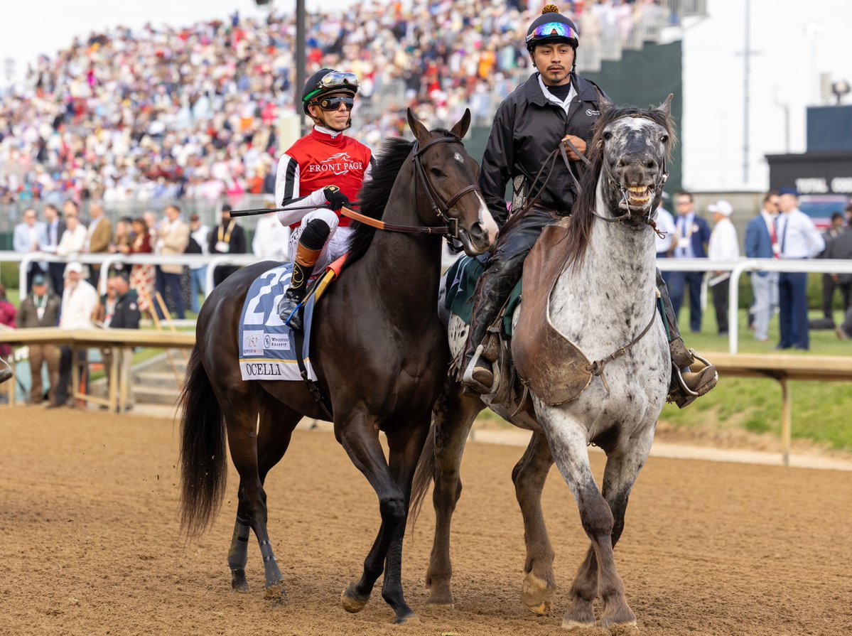 Eclipse Sportswire tweet media