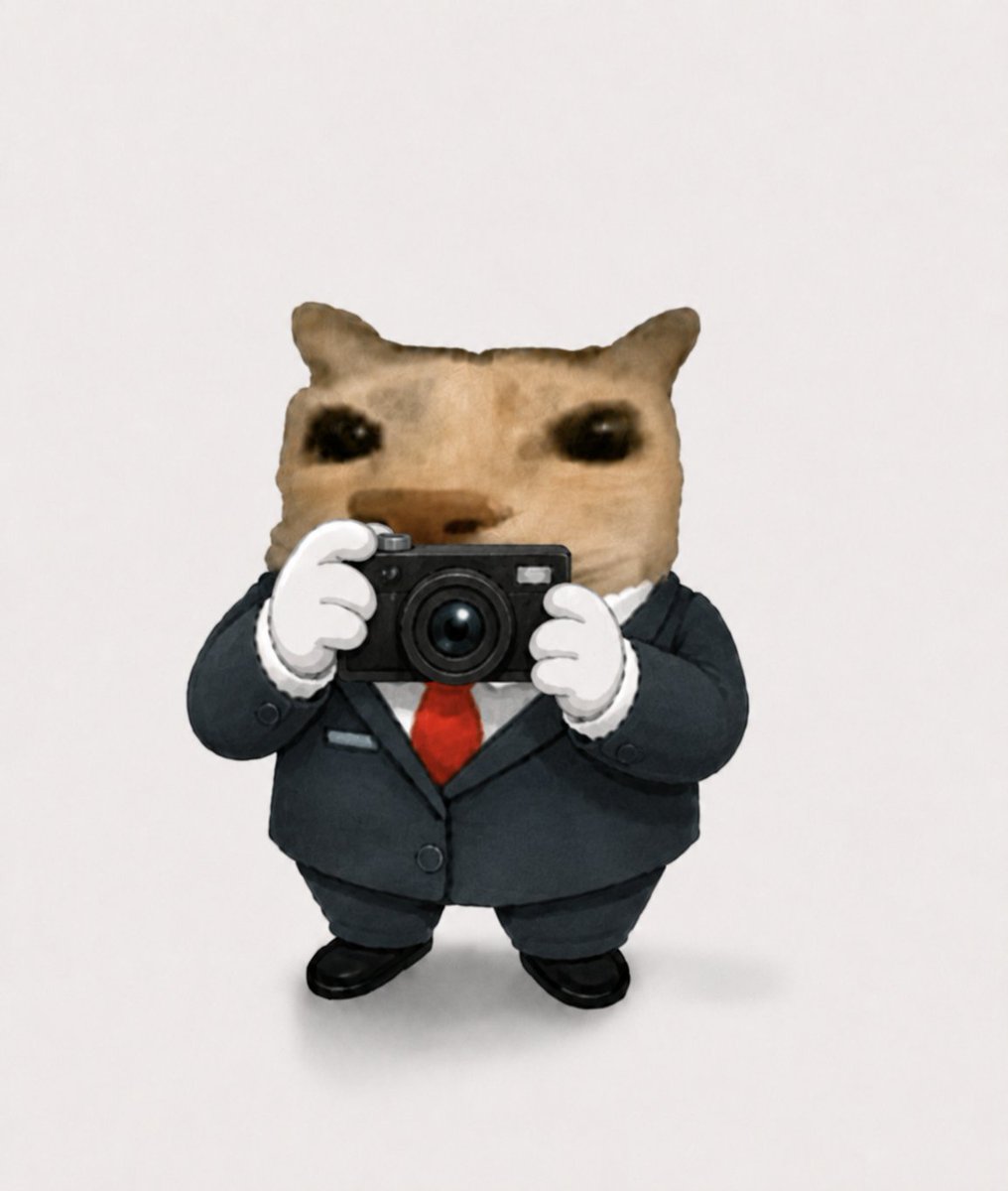 Business Cat tweet media