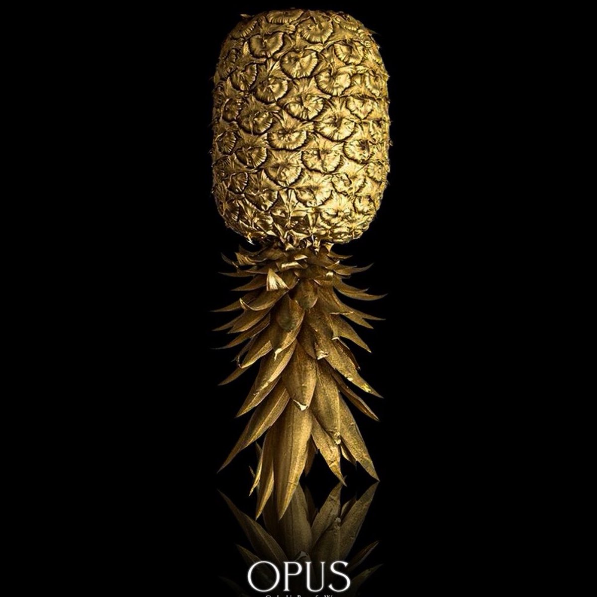 OPUS tweet media
