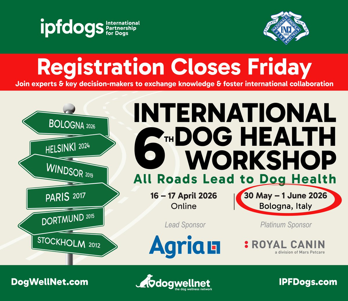 The International Partnership for Dogs (IPFDogs) tweet media