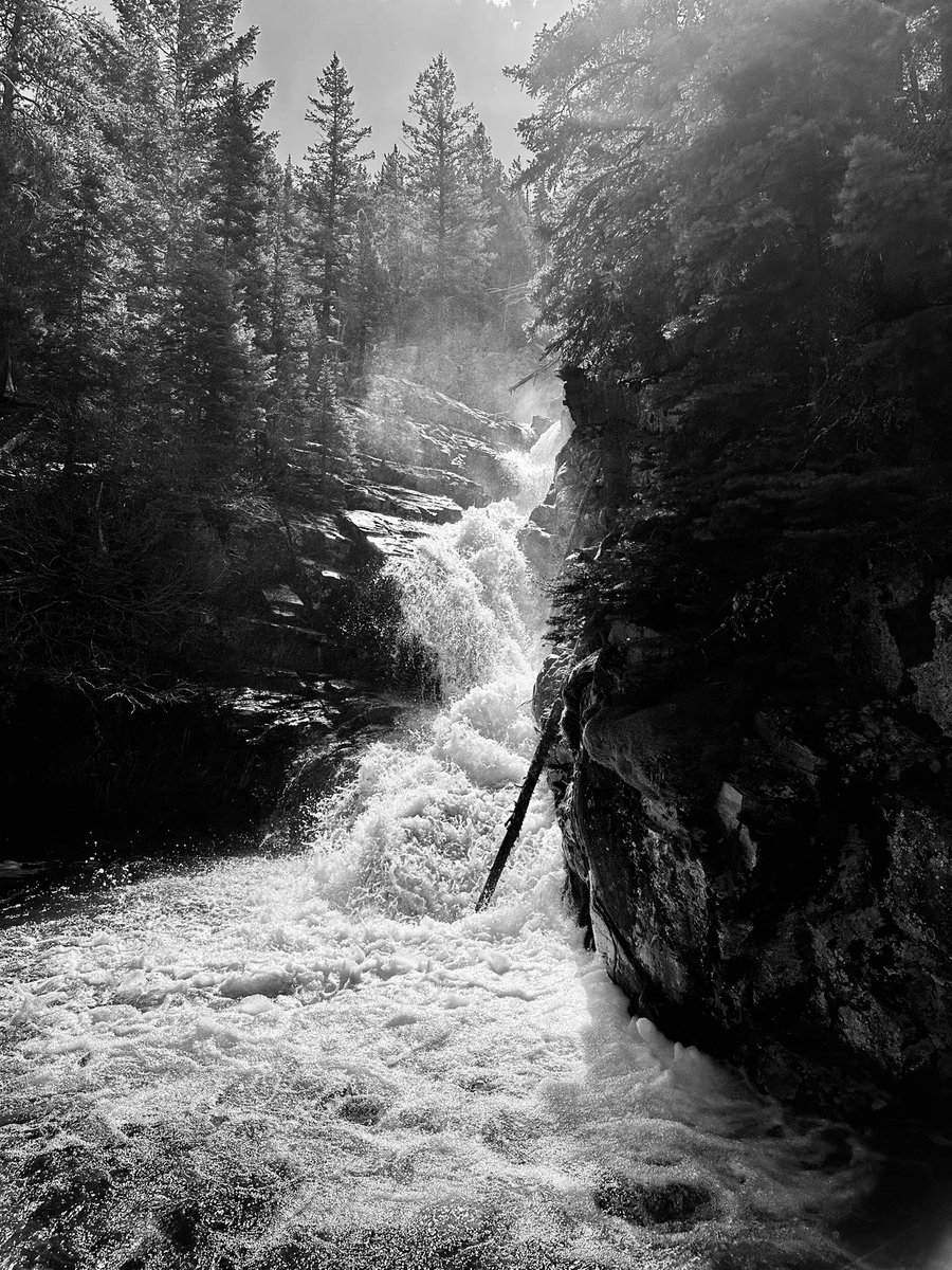 PastorJoelT's tweet photo. One of my favorite pics from a recent hike in Glacier National Park. #hiking #hikingadventures https://t.co/LggSLowAmm