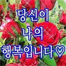 안나 tweet media