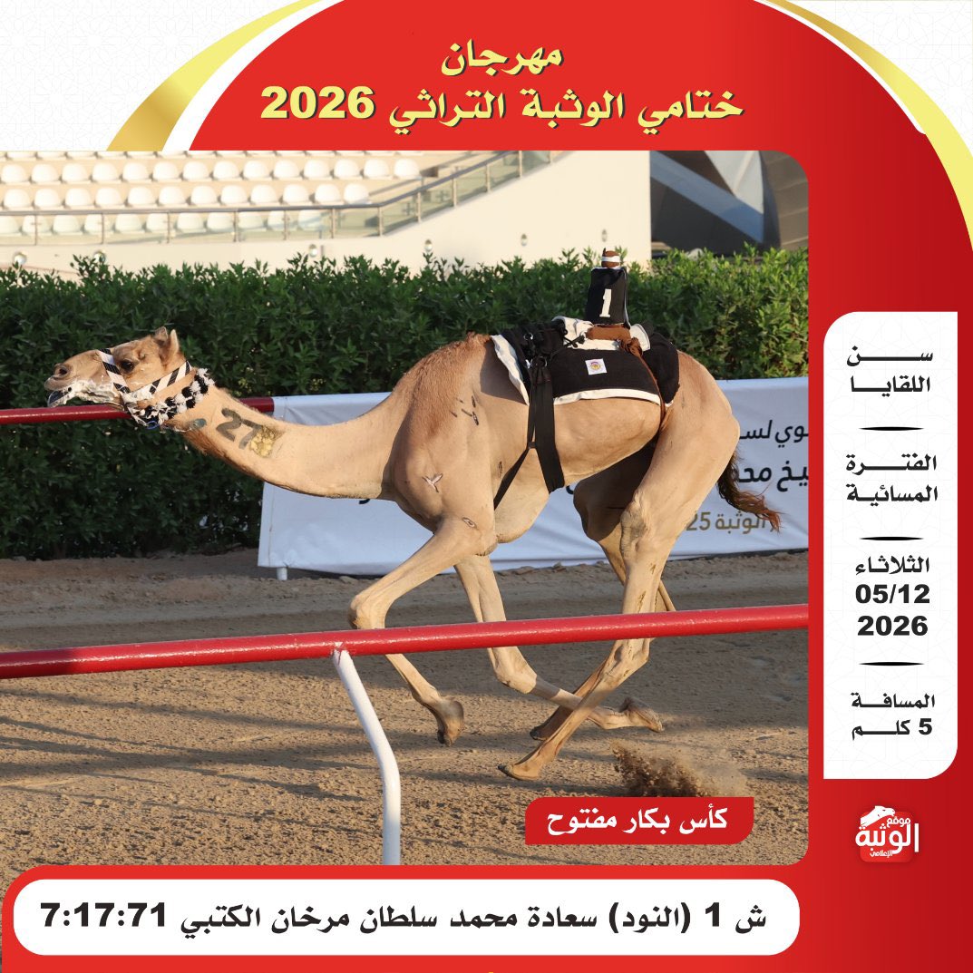 الهجن الاصايل 🐪 tweet media