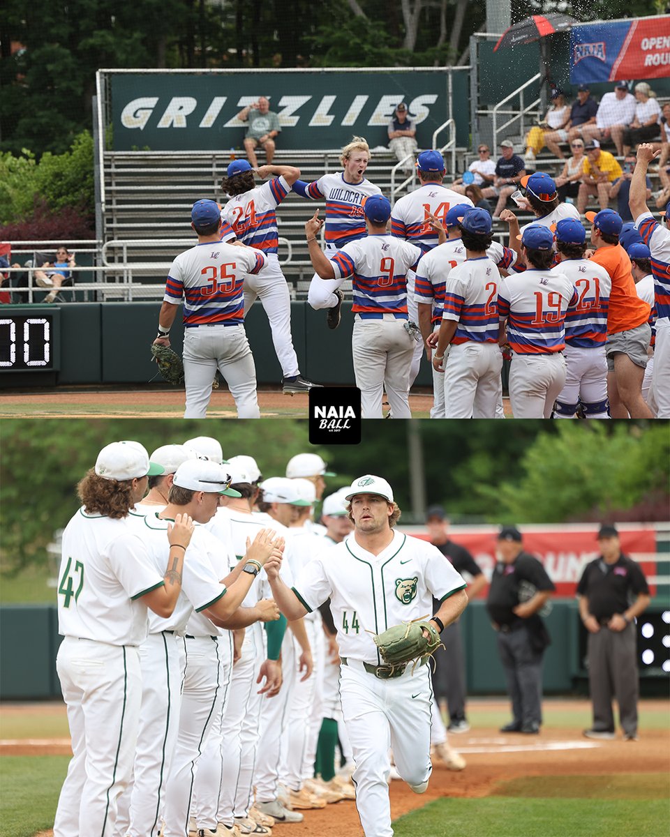 NAIA Ball tweet media