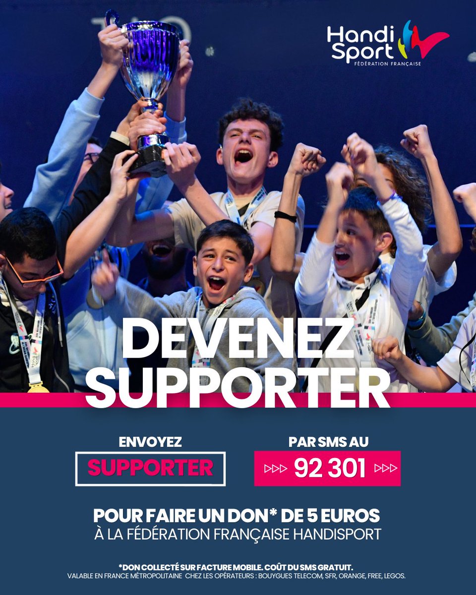 FFHandisport tweet media