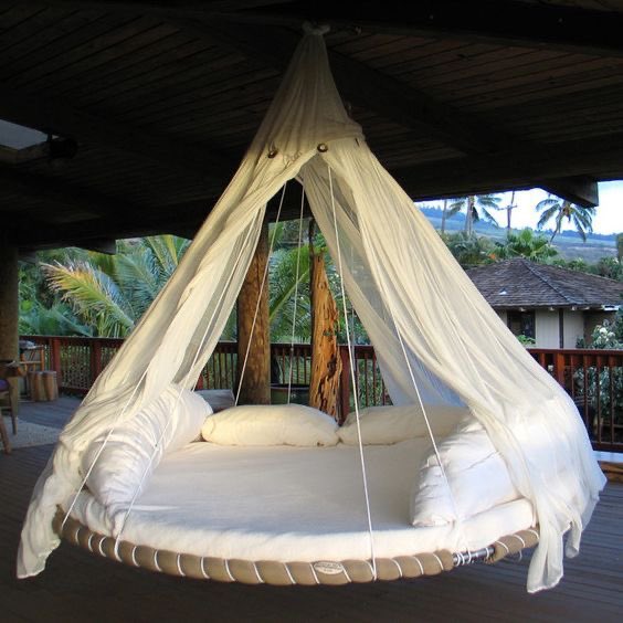 I will be having these in my garden