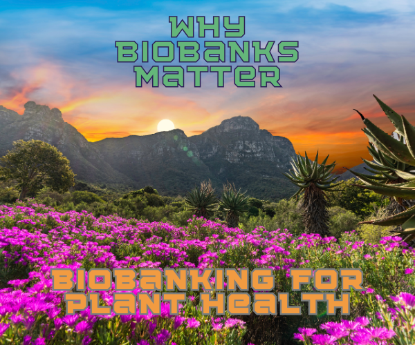 Biodiversity Biobanks South Africa tweet media