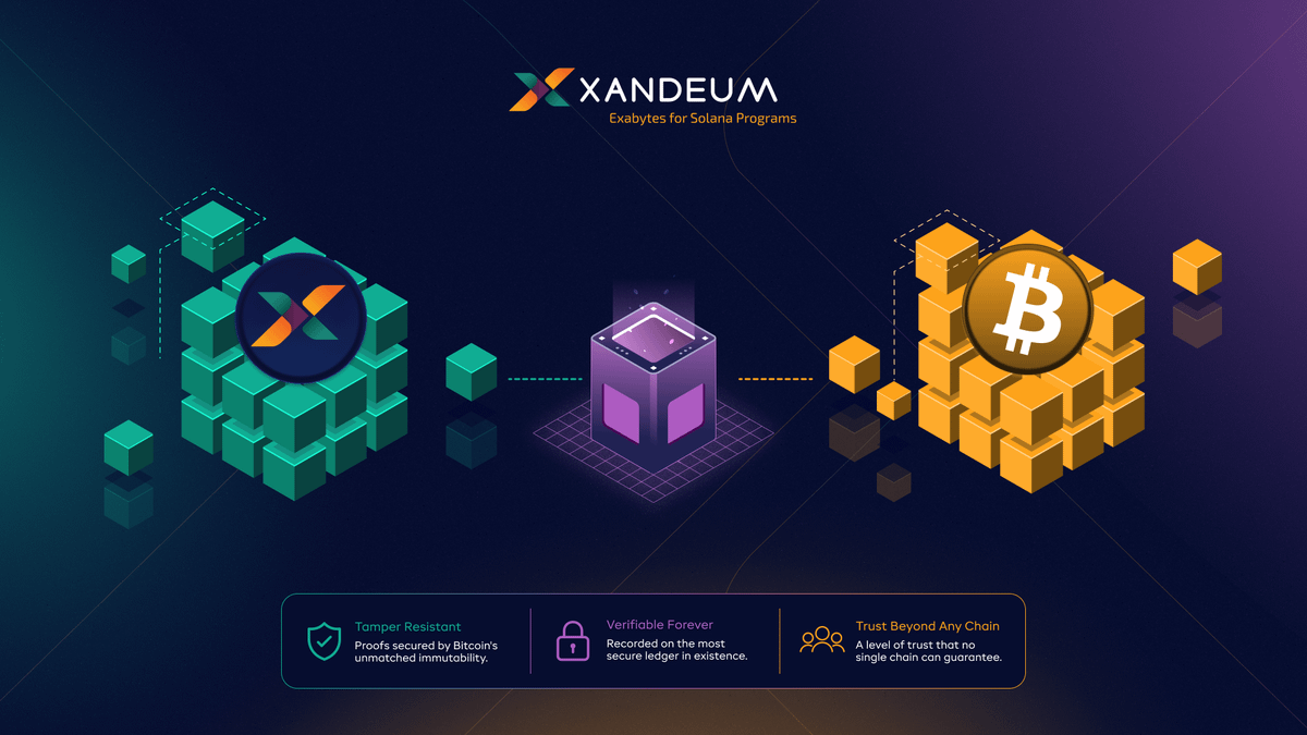Xandeum tweet media