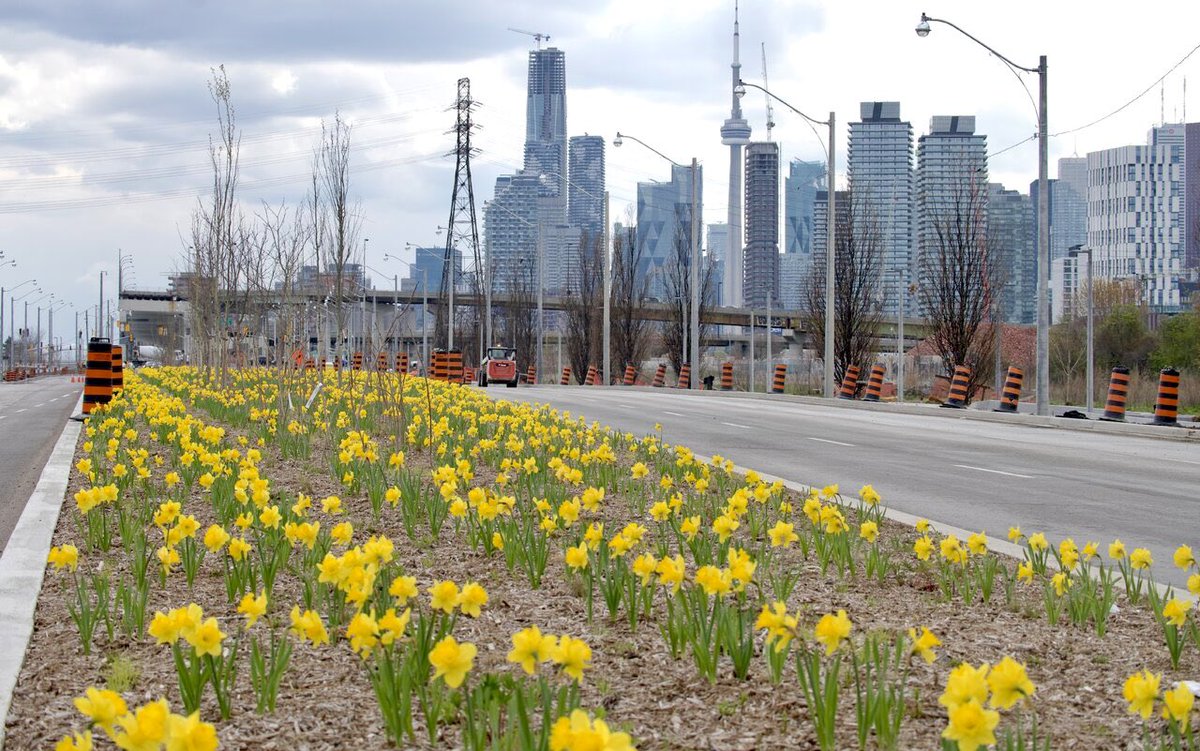 UrbanToronto tweet media