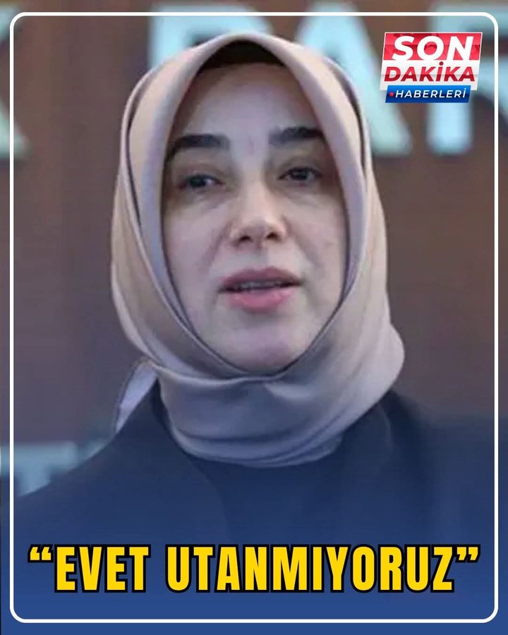 Mahmut Ayar tweet media