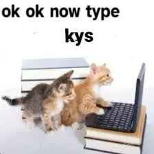 MapleFox_ tweet picture