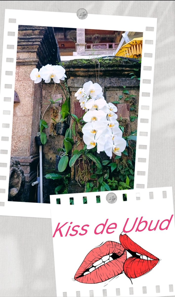 🪽💐Agnès 75013💐 🪽 tweet media