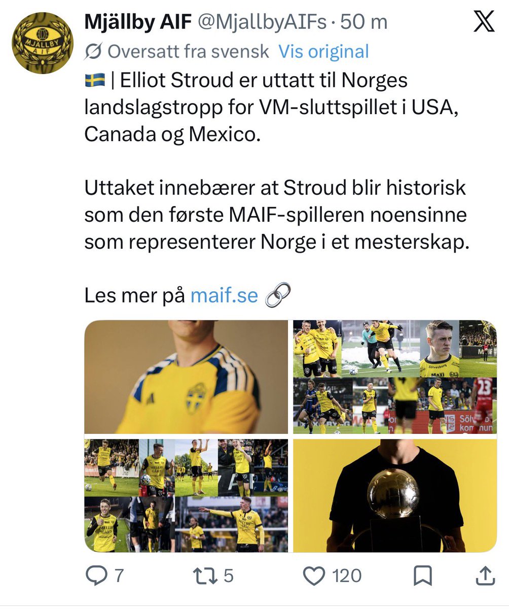 T🎾r🎾lf H🎾lte tweet media