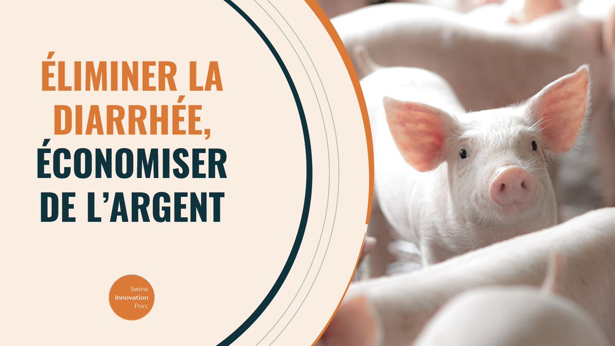Swine Innovation Porc tweet media