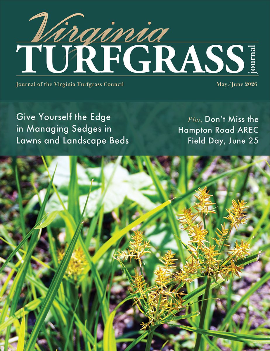 TheTurfZone's tweet photo. > @VaTurfCouncil magazine covers managing sedges in lawns and landscape beds. Also spotlights how EarthaPro is changing the game for small green industry businesses. https://t.co/kgfquTXw5h https://t.co/I0gv8LumCy
