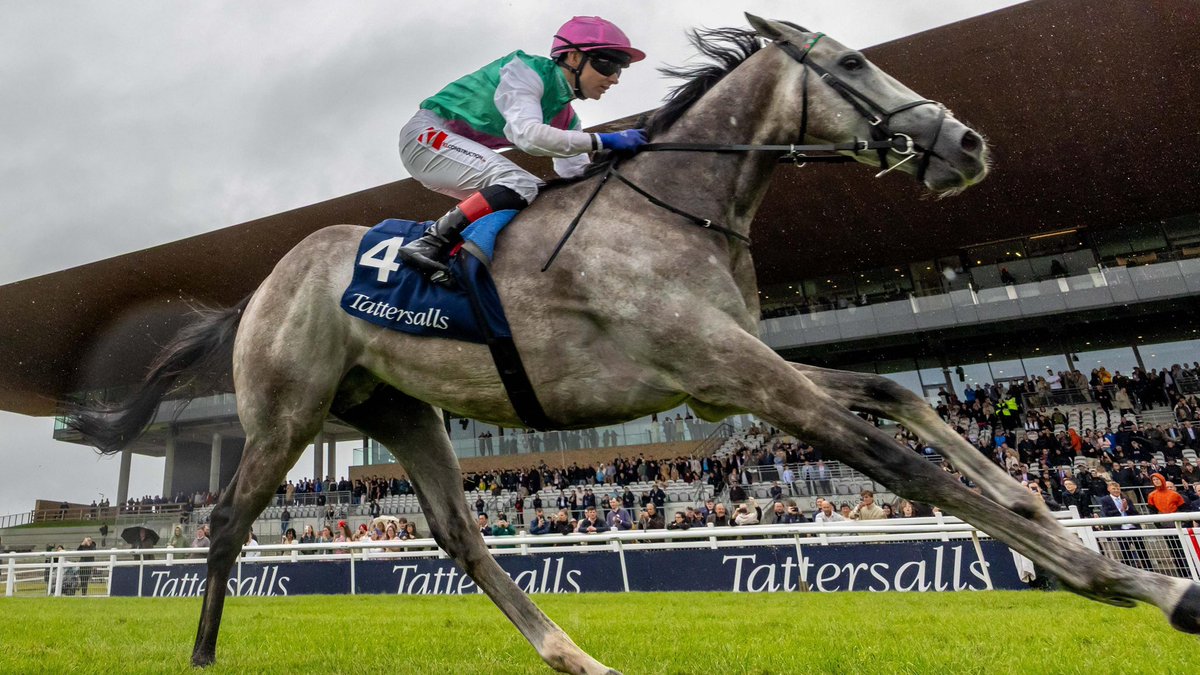 Racing Tips tweet media
