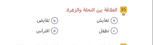 نخبة التحصيلي🙋🏻‍♀️. tweet media