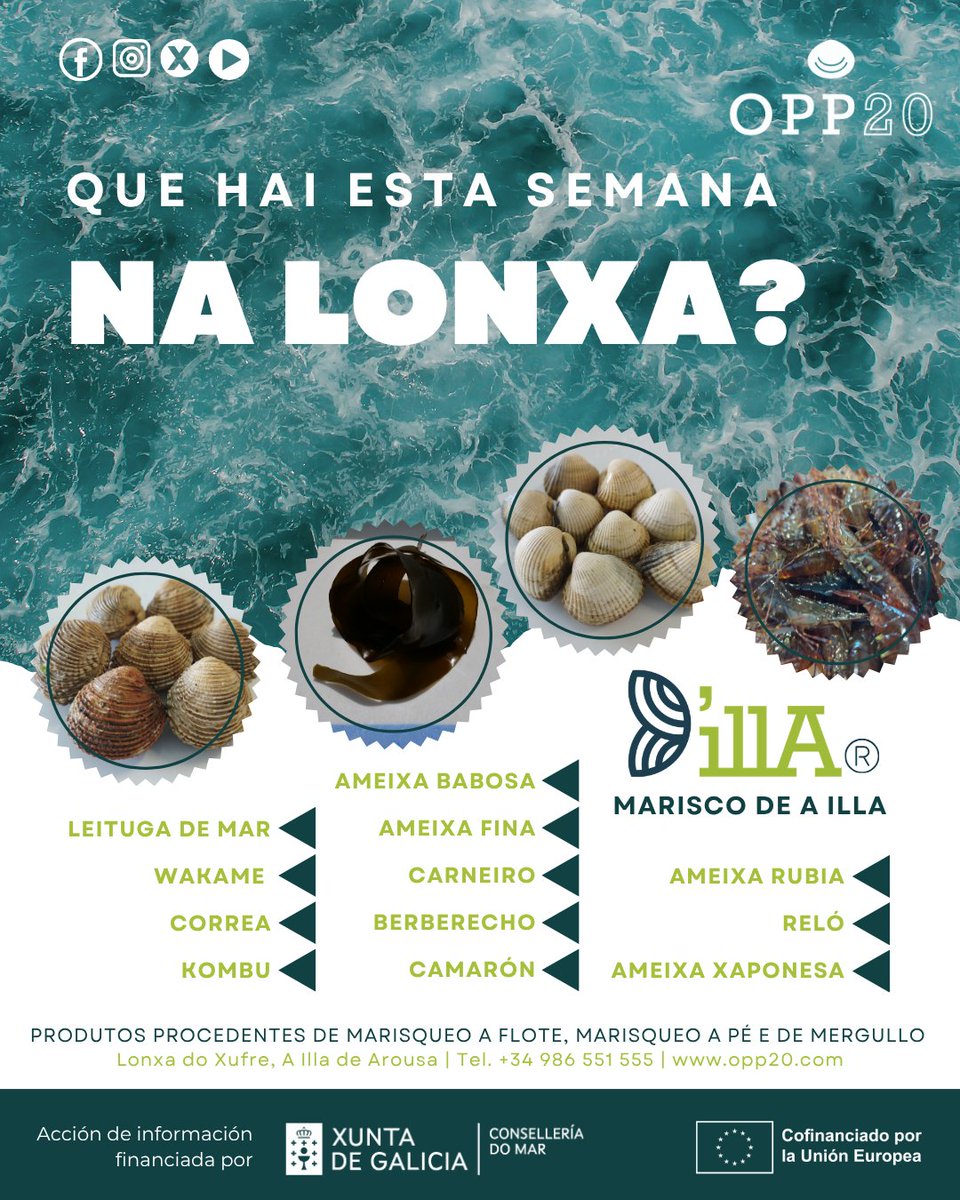 OPP20AIlla's tweet photo. 🌊🦪 |OPP20TRAZABILIDADE

Que hai esta semana na lonxa?

🦪 Ameixa fina, babosa, rubia e xaponesa
🐚 Berberecho, carneiro e reló
🦐 Camarón
🌿 Wakame, kombu, leituga de mar e correa

Produto con orixe e trazabilidade garantida 💙

#TRAZABILIDADE #MariscoDeAIlla #AIlladeArousa https://t.co/nMVPdrwMvX