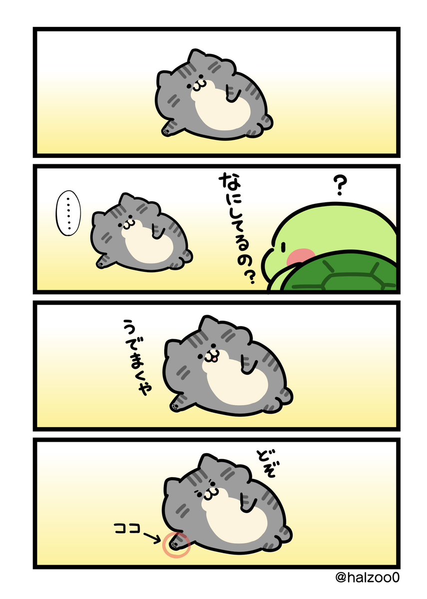 はる蔵 tweet media
