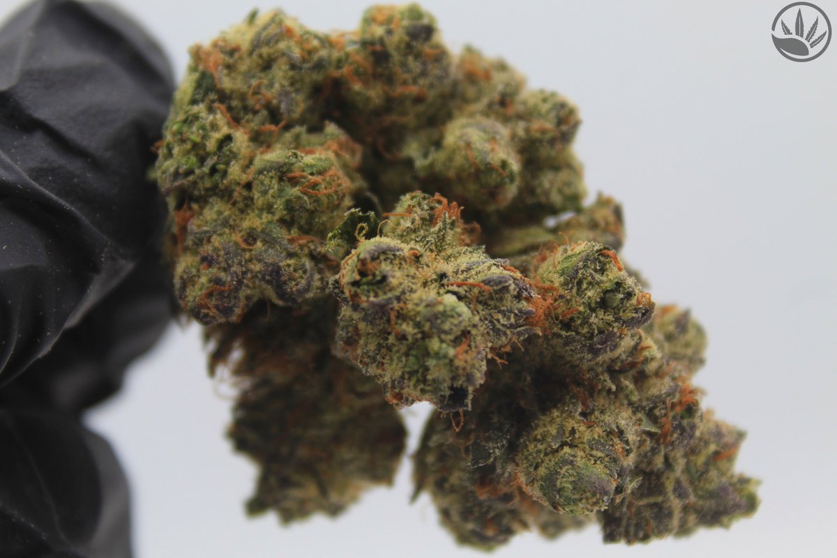 GreenSourceCO's tweet photo. Blue Jam got its name for a reason 💙 #thesource https://t.co/z4tkVcuobh