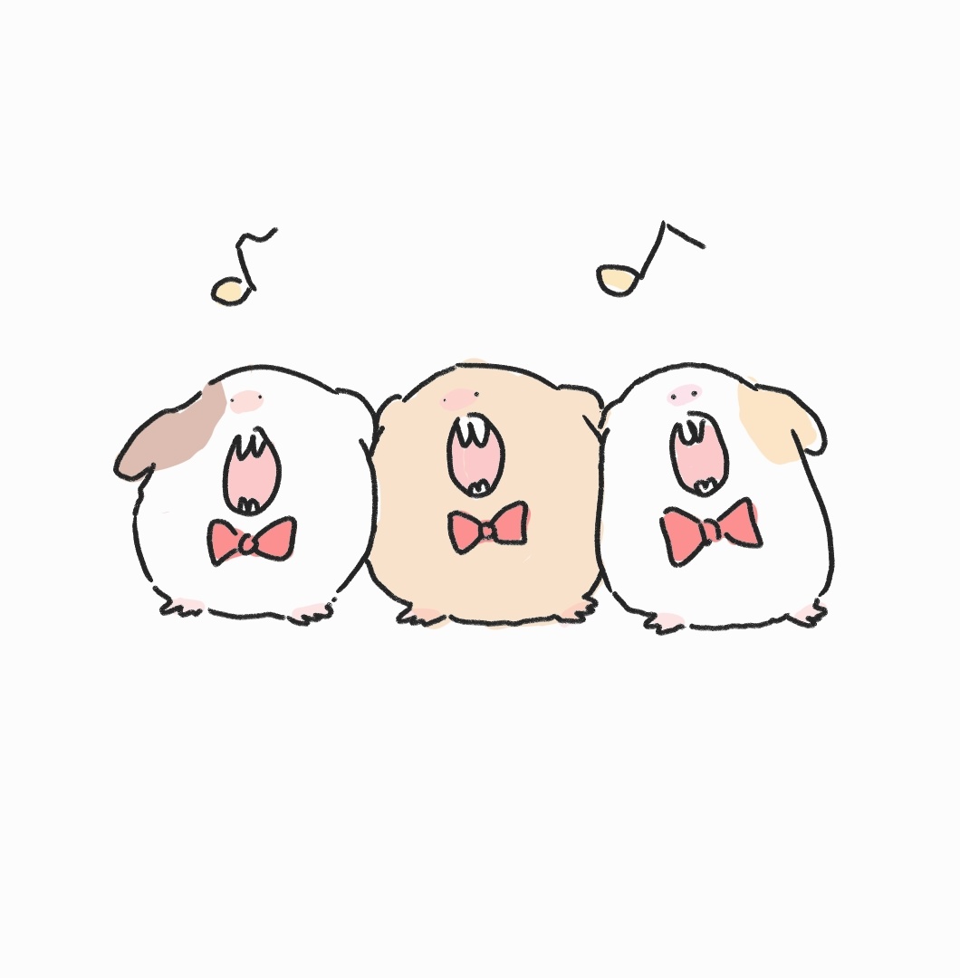 퍼깍소 tweet media