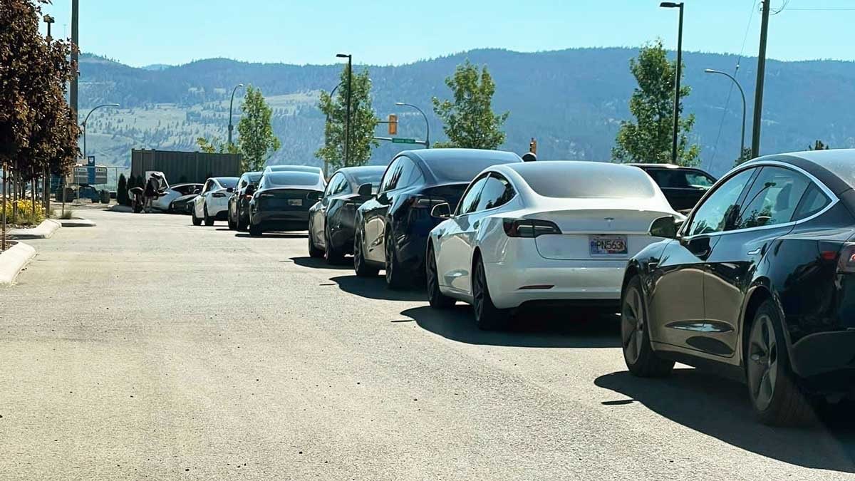 TESLARATI tweet media