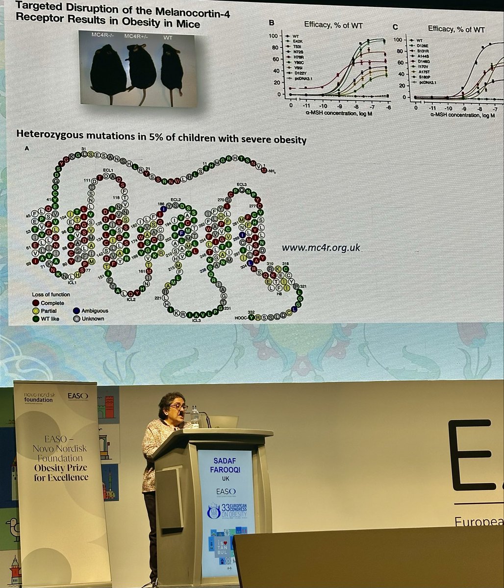 EASO tweet media