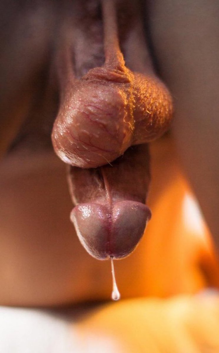 justhors's tweet photo. Learn to surrender your body to our lord Satan your brothers and HE will thank you for it, give pleasure to your cock, Satan provided it to us to give us the only and true divine joy  
Have you jerked off to worship him today? https://t.co/NSz5PPgJqj