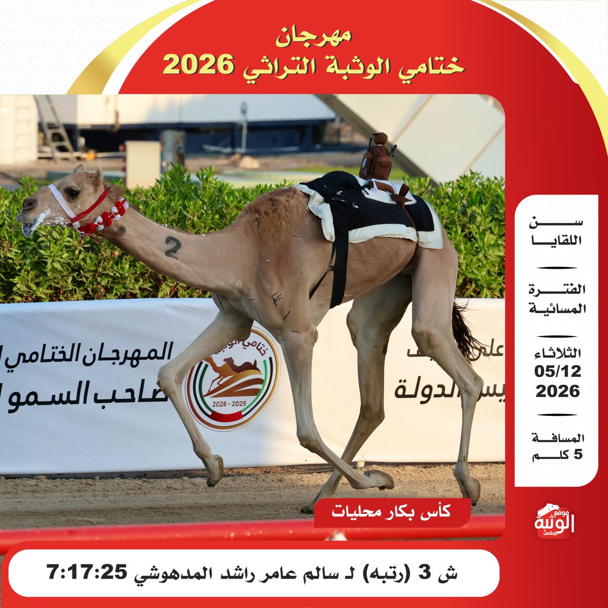 الهجن الاصايل 🐪 tweet media