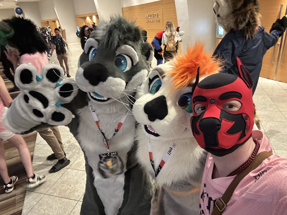 TwizzPup's tweet photo. My first FWA was otter dis world ❤️ https://t.co/Exc0opTWBF