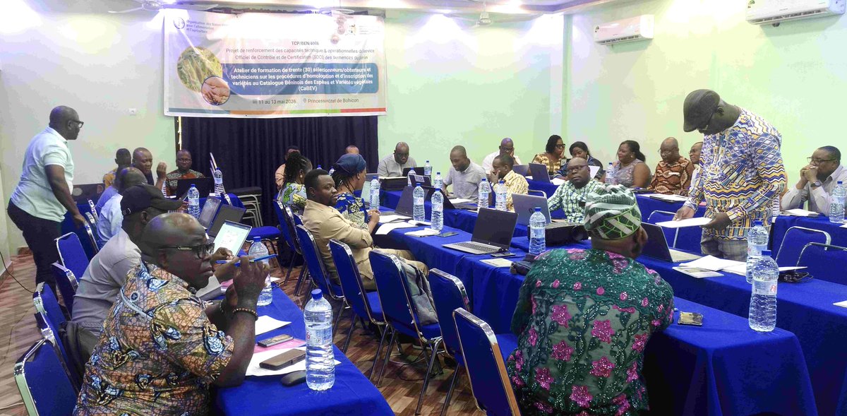 FAOBenin's tweet photo. 🇧🇯 La FAO agit pour un système semencier efficace🧑‍🌾

⚙️En outillant les acteurs que sont les sélecteurs, techniciens, obtenteurs, la FAO contribue à améliorer l’accès à des semences de qualité, un levier essentiel pour augmenter les rendements.
#FAO #Bénin #Agriculture #Semence https://t.co/UXL6Jx0UWw