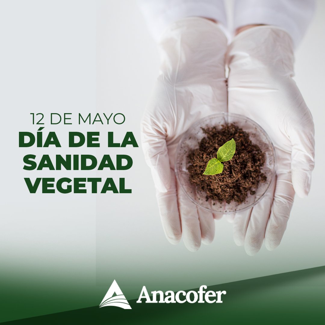 ANACOFERMEXICO's tweet photo. La sanidad vegetal es clave para garantizar la productividad, calidad y sostenibilidad de nuestros cultivos. 🌱

Hoy reafirmamos la importancia de proteger la salud de las plantas para fortalecer el campo mexican https://t.co/0sYbdTnU3T