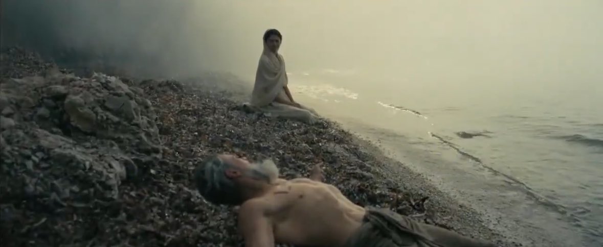 Cinema Solace tweet media