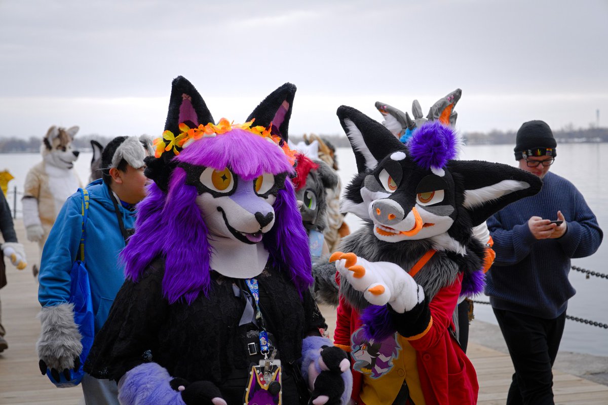 0jxe0's tweet photo. Wassup! I haven’t posted in a whole, here are some photos from Furnal Equinox with my new fursuit by Speckledllynx! 
📸:  Hyper,  Qcmaji,  Drifty_wolf,  Speckledllynx
#furry #fursona #fursuit #furnalequinox https://t.co/HyFf9B4Tzx