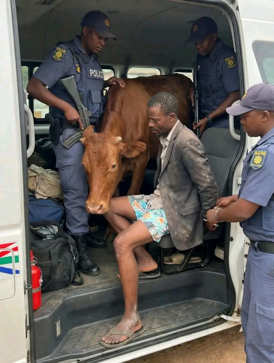 Amukelani Moyani tweet media