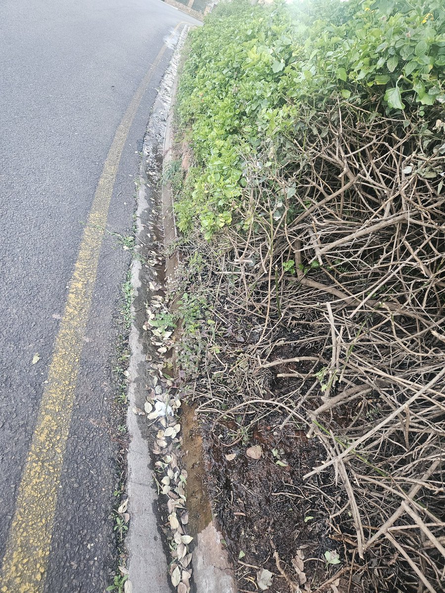 tamarj810's tweet photo. @JHBWater @Rand_Water @CityofJoburgZA I logged a ticket for a leak to be attended to and have been notified that the issue was addressed and the ticket closed. The water is still running from the area and it is clean water. Please can the matter be attended to. CSDFMC0497350 https://t.co/hgGZ88Dwff
