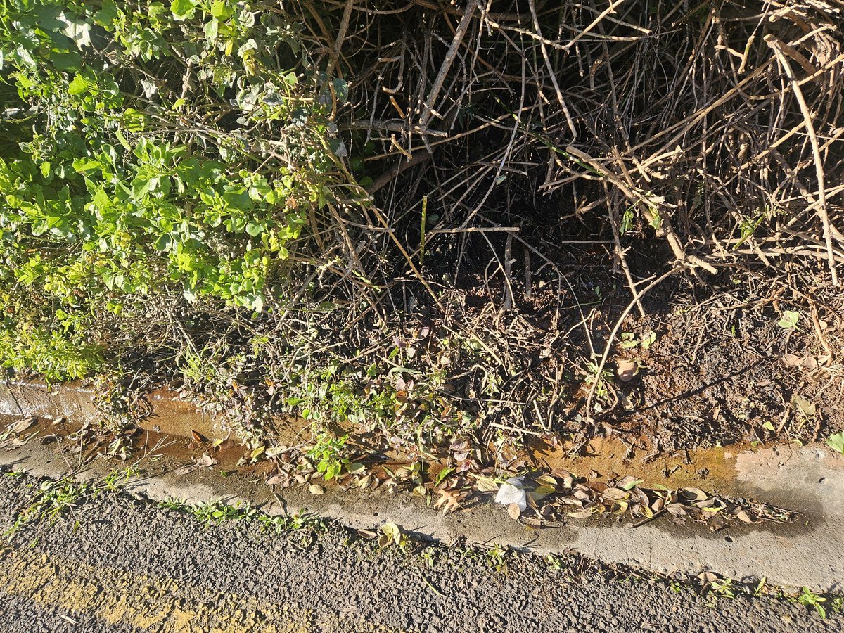 tamarj810's tweet photo. @JHBWater @Rand_Water @CityofJoburgZA I logged a ticket for a leak to be attended to and have been notified that the issue was addressed and the ticket closed. The water is still running from the area and it is clean water. Please can the matter be attended to. CSDFMC0497350 https://t.co/hgGZ88Dwff