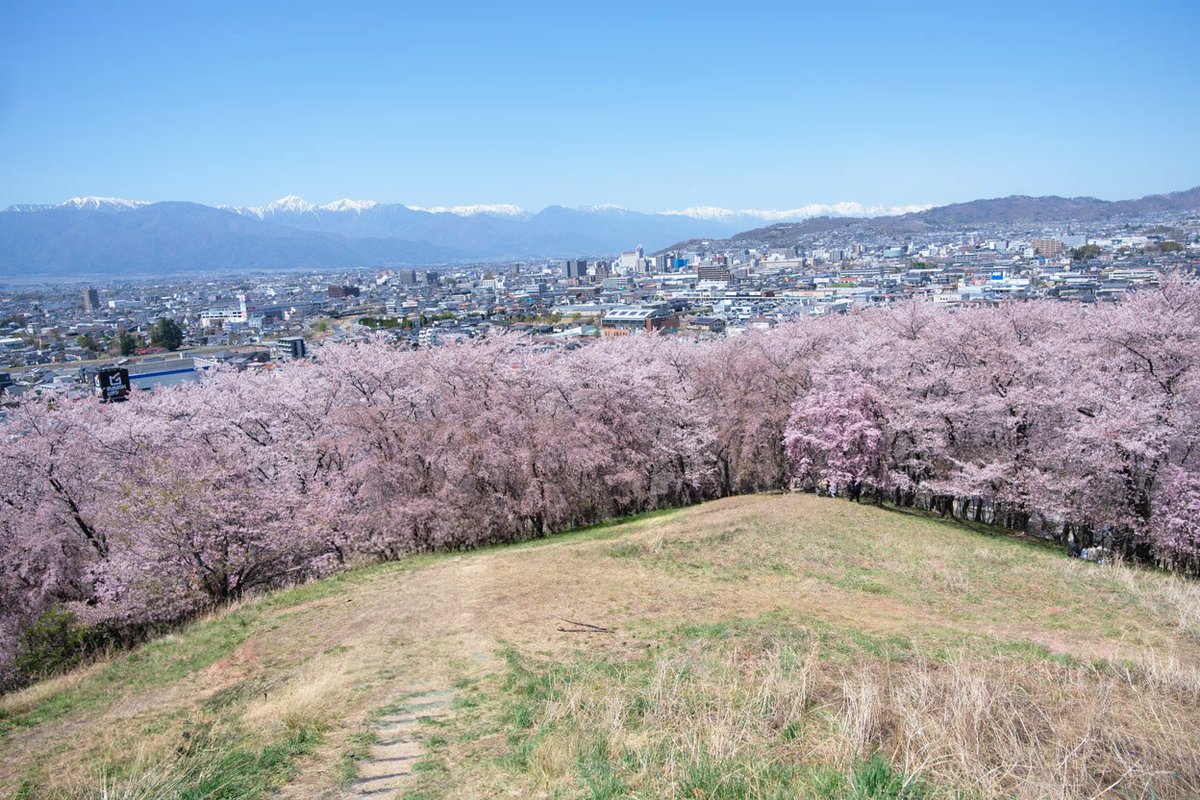 omijika's tweet photo. 26.04 https://t.co/24XPHaOpua