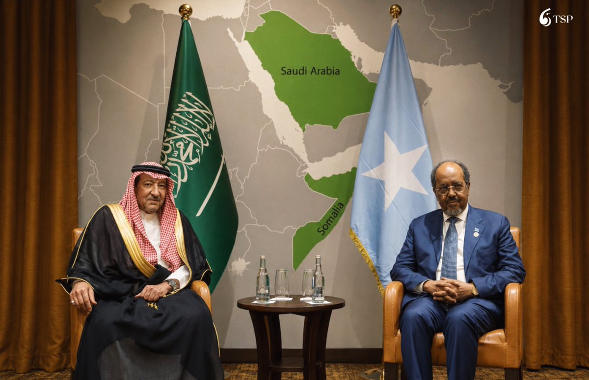 اجتماع رئيس الصومال مع نائب وزير الخارجية السعودي لتعزيز التعاون