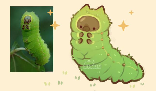 Rihnlin 🌱🪲🐸 tweet media