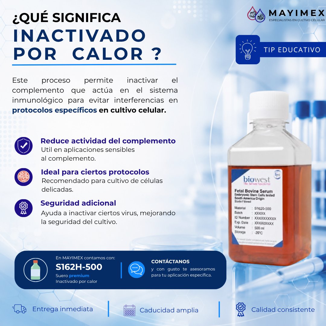 MAYIMEX_MEXICO's tweet photo. 🔬 ¿Qué significa inactivado por calor?

Una opción de SFB utilizada en aplicaciones específicas de cultivo celular.

✔️ Calidad consistente
✔️ Disponibilidad inmediata.

📩 Podemos ayudarte a elegir la mejor opción para tu laboratorio

#SFB #CultivoCelular #BiolgiaCelular https://t.co/4OuRbLPgcd
