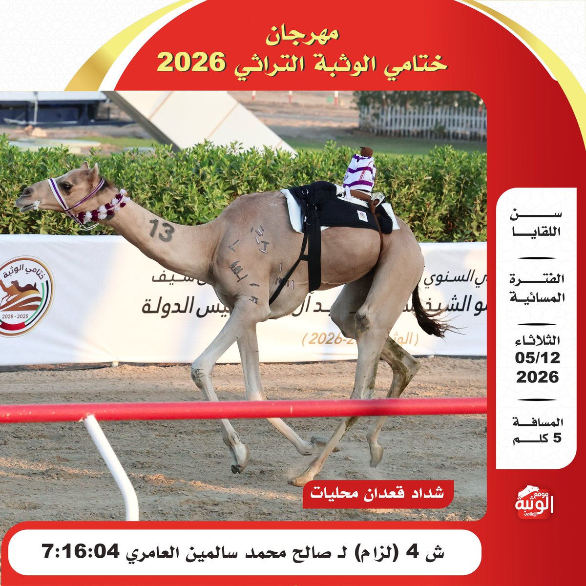 الهجن الاصايل 🐪 tweet media