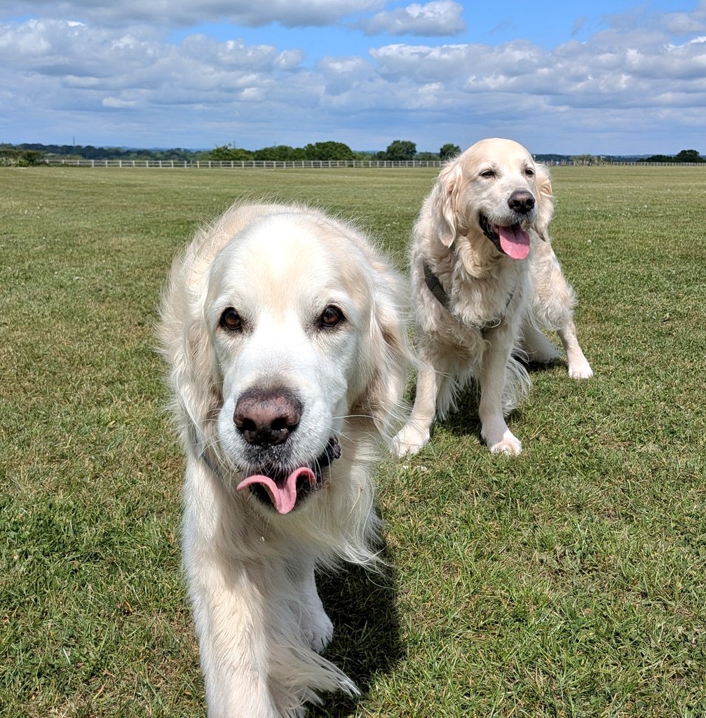 Furzey & Thor⚡ tweet media
