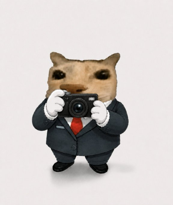 Business Cat tweet media