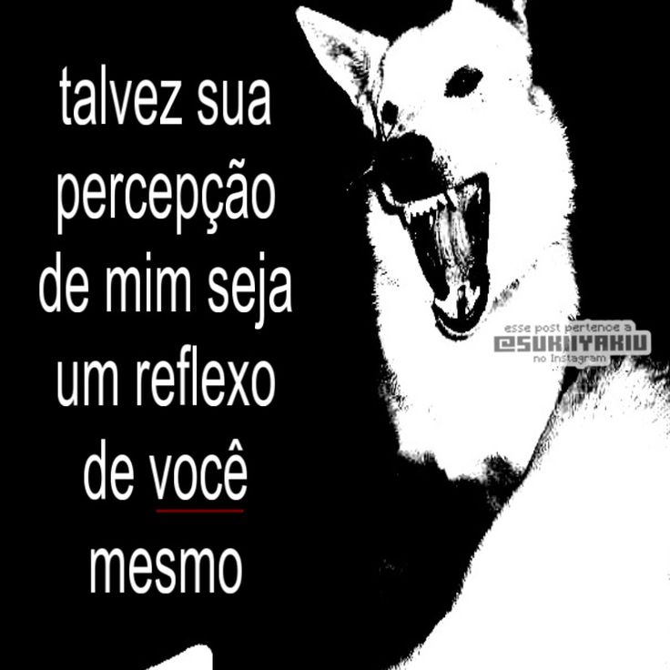 Frases em baixa qualidade tweet media