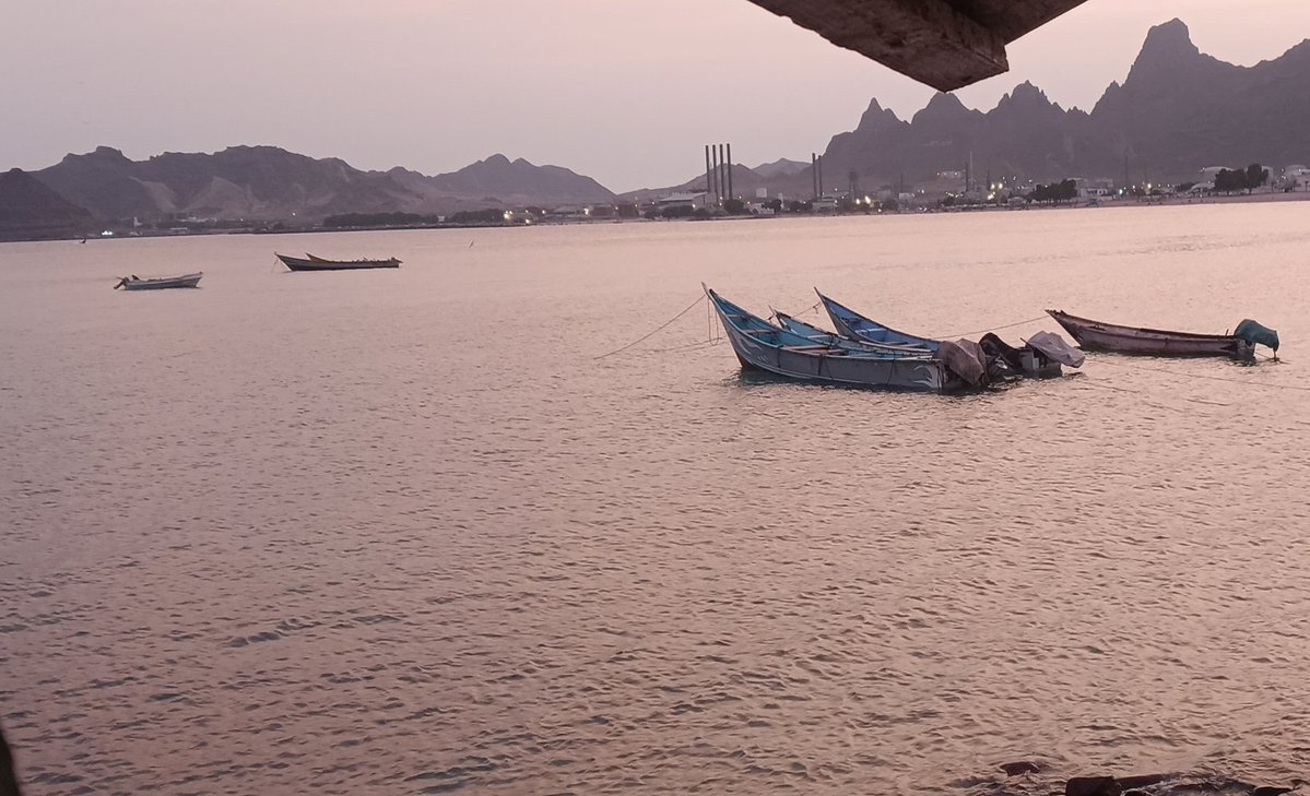 عدني وافتخر tweet media
