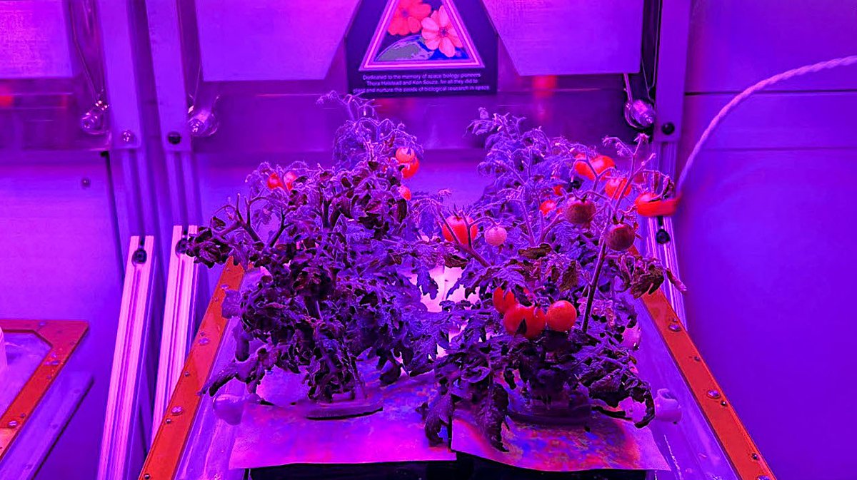 Astrobiology tweet media
